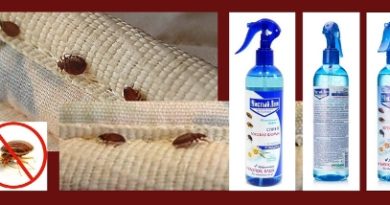 спрей чистый дом от клопов