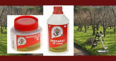 Препарат "30 Плюс"