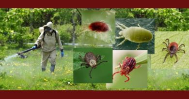 акарициды классификация