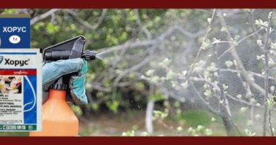 фунгицид Хорус инструкция по применению