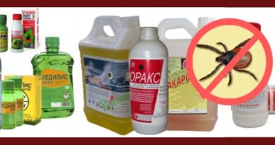 Средства обработки участка от клещей