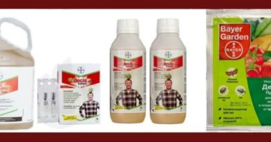 Децис инсектицид - инструкция и регламенты работ