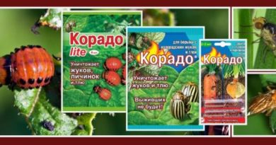 Корадо инструкция по применению