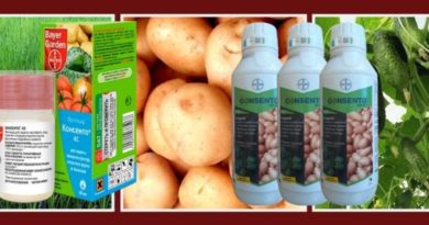 Фунгицид "Консенто". Инструкция по применению