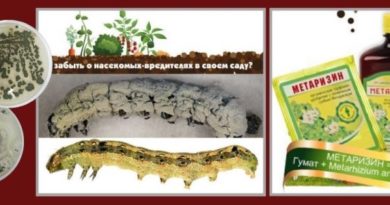 Метаризин - инструкция по применению